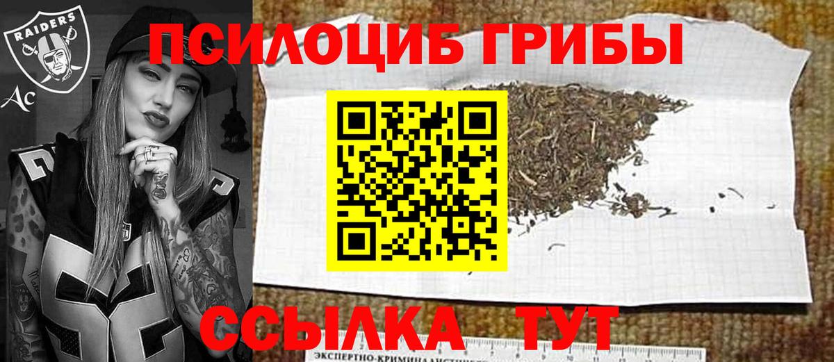 Псилоцибиновые грибы прущие грибы  Псилоцибиновые грибы Cubensis  Вход с VPN  Петропавловск-Камчатский 